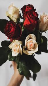 You could download and install the wallpaper and utilize it for your desktop computer. Rose Wallpaper Hd Rose Flower Images For Free For Android Apk Download