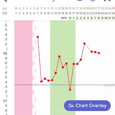 Can A Person Still Get A Bfp If No Implantation Dip Dont