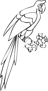 We have changed many of the nimbus defaults (control, text, nimbuslightbackground and so on) to have a dark theme. Long Tail Parrot Coloring Page Long Tail Parrot Coloring Page Color Nimbus Fish Coloring Page Parrot Coloring Page Online Coloring Pages