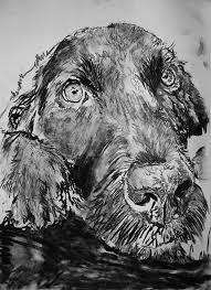 Black And White Lab Black Lab Dog Art Print Black And White Labrador Dog Charcoal Drawing Labrador Portrait Wall Art Print Home Decor Black La With Images Dog Print Art Dog Drawing Lab Dogs