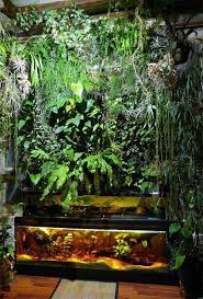 Living Wall Paludarium Aquarium Design Amazing Aquariums Aquarium