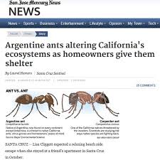 Argentine Ants Altering California S Ecosystems Planet Orange Citrus and grapes—key crops in california—are affected.
