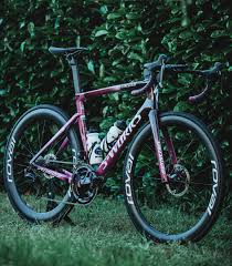 The 3 times world champion. Pro Bike Peter Sagan S Maglia Ciclamino Custom Painted Specialized Tarmac Sl7 Bikerumor