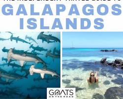 Image of Galapagos Islands independent travel