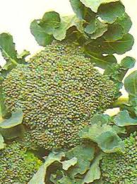 What vegetable flowers can you eat. Edible Flowers List Vegetable List And Healthy Vegetables