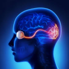 Daca nu credeti, incercati sa va smulgeti un fir de par din cur pentru a nu se face de rahat in fata celorlalti! Nervul Optic Difebiom