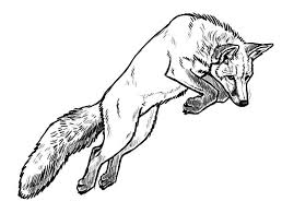 These arctic fox facts for kids are sure to make these little creatures seem even more interesting. Jumping Kit Fox Coloring Pages Download Print Online Coloring Pages For Free Color Nimbus