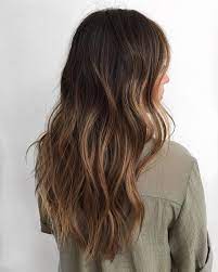 Cherin Choi On Instagram Low Maintenance Brunette Hair Color On Fine Dark Asian Brunette Hair Lowmai Hair Color Asian Brunette Hair Color Hair Highlights