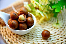 Maybe you would like to learn more about one of these? Can Dogs Eat Nuts What You Need To Know