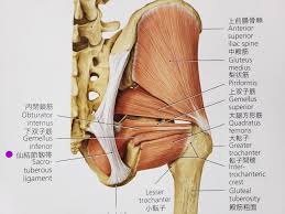 あすも院長のブログ