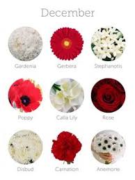 We did not find results for: Wedding Flowers Seasonal Flowers For Weddings