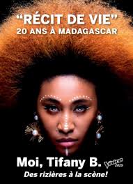 Découvrez les nouveautés de la librairie en ligne Librinova