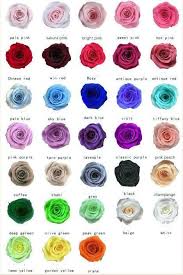 I was a bit hesitant to do so but found flowerswholesale.ca and felt i had. 20 Off In My Etsy Shop Preserved Roses That Last More Than A Year Https Etsy Me 3i9v4wi Wedding Indepe Preserved Roses How To Preserve Flowers Rose Stem