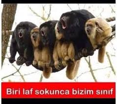 Serkan Keskin Adli Kullanicinin Karikaturler Panosundaki Pin Funny Jokes Ve Funny Memes