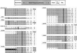 Drama ini bakal bersiaran pada minggu hadapan menggantikan drama tak ada cinta sepertimu yang telah tamat. High Frequency Of Alkaptonuria In Slovakia Evidence For The Appearance Of Multiple Mutations In Hgo Involving Different Mutational Hot Spots Abstract Europe Pmc