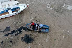 What scientists are calling the largest sea snot outbreak in history was likely fueled by climate change and pollution in the sea of marmara off the coast of istanbul, turkey. O6fd5pdtmxiksm