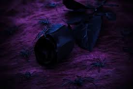 Beautiful Purple Roses Images Free Stock Photos Download 7 050 Free Stock Photos For Commercial Use Format Hd High Resolution Jpg Images Lovepik > purple roses images 41000+ results. beautiful purple roses images free