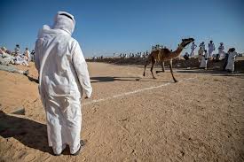 Each puzzle has a word between 4 and ten letters long, with longer words usually being more difficult. In Pictures Camel Racing Storms Back In Sinai After Covid 19 Hiatus Sports Photos Gulf News