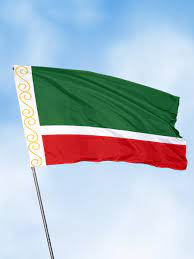 Флаг Чечня - купить Флаг по выгодной цене в интернет-магазине OZON  (251852231)