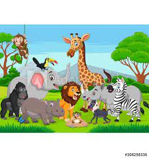 cartoon wild animals in the jungle in 2021 animated animals animals wild cartoon animals