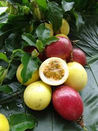 Caribfruits Maracuja Fruit De La Passion Fruits Tropicaux Fruits Tropicaux Fruit De La Passion Graines De Fruits