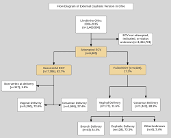 Image result for External Cephalic Version