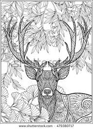 Coloring Page With Deer In Forest Coloring Book For Adult And Older Children Vector Illustration Outline Drawing Animal Coloring Pages Horse Coloring Pages