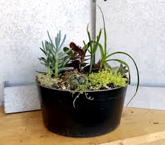 Buy online & pick up in stores shipping same day delivery include out of stock garden beds hydroponic containers novelty planter holders novelty planters planter baskets planter boxes planter brackets planter dollies planter hangers planter pot feet planter pots planter saucers planter stands planter starter trays shepherd hooks terrarium kits. Large Succulent Planter In Berkeley Ca Lee S Florist Nursery