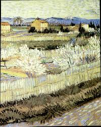 Biology For A Changing World 3rd Edition Pdf Free Biology Of Plants Pdf Free In 2020 Biology Biology Plants Plants