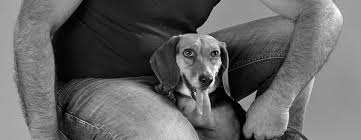 We did not find results for: Chien Renifleur Punaise De Lit Detection Cynotherm
