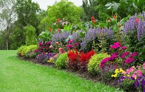 1001 Idees Pour Un Massif De Fleurs Joli Et Resistant Massif Fleurs Parterre De Fleurs Jardin Massif