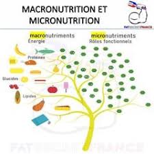 Pin On Alimentation Et Sante