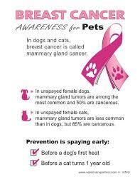 One of them had mobility issues and edema in the back legs. Pin On Yee Haw