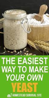 The Easiest Way To Make Your Own Yeast Bread Recipes Homemade Sourdough Bread Starter Homemade Recipes