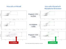 Check spelling or type a new query. Mycoplasma Contamination Of Cell Cultures Lonza