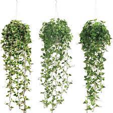 Macetas colgantes para balcones decora westwing. Decoracion De Pared Para Balcon E Interior Plantas Colgantes Artificiales Hoja De Plastico Buy Hoja De Plastico Decoracion De Plantas Artificiales Colgantes Decoracion De Balcon Y Pared Interior Plantas Colgantes Artificiales Hoja De Plastico Product