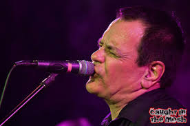The Wedding Present 2012 Live Review