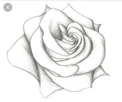 Pin By Aaron May On Journal Art Ideas Tumblr Drawings Easy Pencil Drawings Of Flowers Pencil Drawings Easy