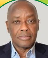 Sijibomi Ogundele (Sujimoto): Estate Guru Thriving