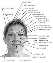 Diy Facial Acupressure Pictures And Face Skull Points Chart