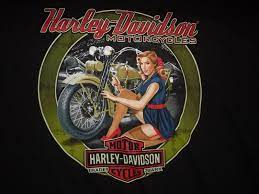 Pin By Chris C On Harley Davidson Dealer Designs Harley Davidson Artwork Harley Davidson Trike Harley Davidson Signs