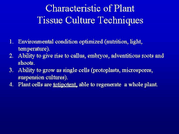 Check spelling or type a new query. Plant Biotechnology Plant Tissue Culture The Culture And