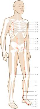 spleen meridian acupuncture points smarter healing