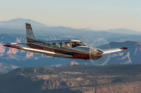 Image result for Piper