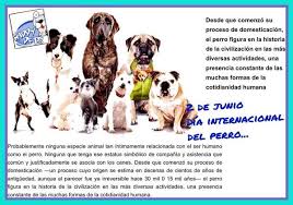 Chonino había ingresado a la policía federal argentina en 1.977. Happy Pets Panama No Twitter 2 De Junio Dia Internacional Del Perro Poll1368 Fundasis Edeisenmann Raisabanfield Angelesanimales Http T Co D3gtvaodai