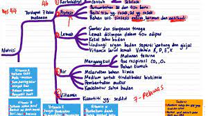 Sistem suria bab 12 sains tingkatan 2. Sains Pt3 T2 Bab 3 Nutrisi Youtube