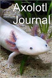 • where can i buy an axolotl? Axolotl Journal Blank Logbook For Axolotl Aquarium Maintenance Care Tank Workbook Amazon De Cranor Sandra Fremdsprachige Bucher