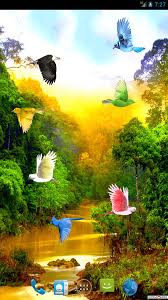 Images and cover photos from mukesh garg birds animals nature. Hd Live Nature Bird Wallpaper Down 720x1280 Wallpaper Teahub Io