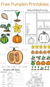 Teaching About Pumpkins Life Cycle Free Printables Fall Science Science Montessori Science Activities Fall Preschool Activities Preschool Science Activities