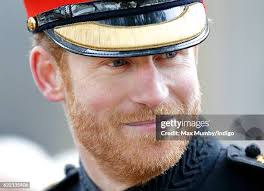 523 The Duke Of Edinburgh Visit The Field Of Remembrance Westminster Abbey  Stock Photos, High-Res Pictures, and Images